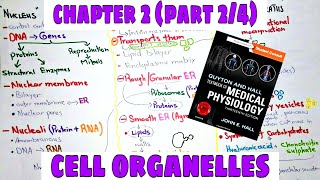 Cell organellesChapter 2part24 nucleus endoplasmic reticulum lysosomes etc  Guyton and Hall [upl. by Olecram403]