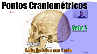 Pontos Craniométricos  Parte 7  Teórica  Anatomia Humana [upl. by Litha15]