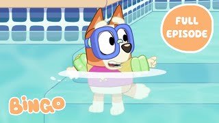 Bingo in the Pool 💧🧡  Bluey Series 1 FULL EPISODE  Bingo  Official Channel [upl. by Sherburn500]