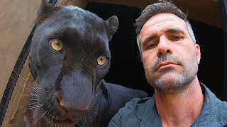 How To Move A Leopard  The Lion Whisperer [upl. by Langley]