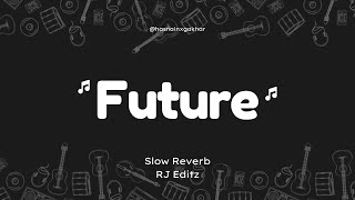 FUTURE  R Nait  Slowed  Reverb  RJ Editz [upl. by Yrdua603]