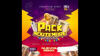 Ecuadorian Remix Pack NOVIEMBRE 2024 Gratis [upl. by Brody]