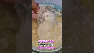 A MELHOR RECEITA DE PÃO CASEIRO  FOFINHO E MUITO FÁCIL DE FAZER [upl. by Chaddie585]