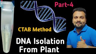 DNA Isolation from Plant Part 4 [upl. by Mojgan3]