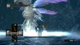 Dark Souls Seath the Scaleless speedrun [upl. by Stephen184]