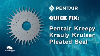 Pentair Kreepy Krauly Kruiser Pleated Seal  Quick Fix [upl. by Aicia]