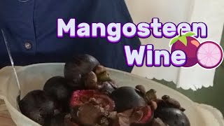 Mangosteen Wine  Homemade School Project [upl. by Naoh999]