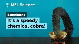 Experiment A huge snake from nitroaniline and sulfuric acid [upl. by Cruce]