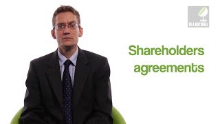 Shareholders agreements  In a nutshell [upl. by Lund409]