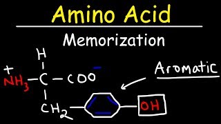 Memorize The 20 Amino Acids  The Easy Way [upl. by Rolland]