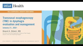 Transnasal Esophagoscopy TNE in Dysphagia Evaluation and Management  Dinesh K Chhetri MD  UCLA [upl. by Gabriellia507]