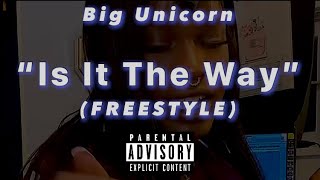 “Is It The Way” Freestyle 😘 [upl. by Custer]