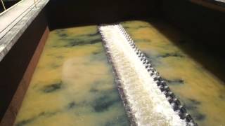 Filter backwash with air and water [upl. by Mayrim]