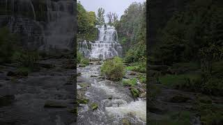 Chittenango Falls in Autumn naturelovers nature waterfall landscapephotography parks [upl. by Ellahcim]