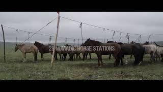 All the Wild Horses  Film music and Theme music by Tengger Cavalry [upl. by Omoj873]