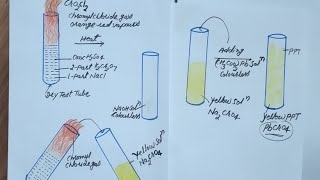 chromyl chloride testfor class11 12NEETJEE [upl. by Dlanod]