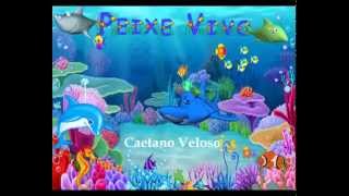 Peixe Vivo  Caetano Veloso [upl. by Uriisa]