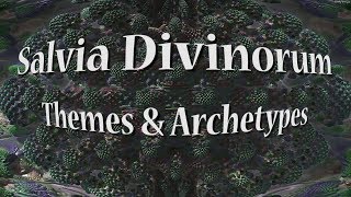 Salvia Divinorum  Themes amp Archetypes [upl. by Aliuqet]