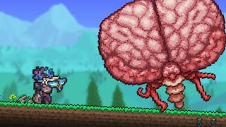 Beware The Brain of Cthulhu  Terraria Calamity Ranger Death Mode 9 [upl. by Einaoj]