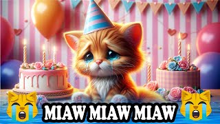 Miaw miaw miaw miaw Song sad story of birthday cat [upl. by Stucker258]