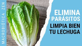 Cómo DESPARASITARTE y LAVAR una LECHUGA 🥬 [upl. by Paza984]