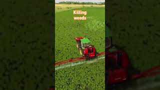 Herbicide spraying canola field ALMA Missouri Farming Simulator 22 [upl. by Anirtep261]