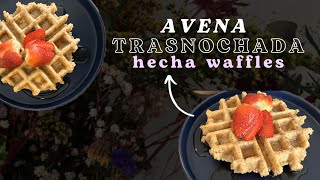 Waffles de Avena Con menos de 5 ingredientes 🧇 Desayuno vegano fácil y rápido💃🏻😏 [upl. by Eshelman518]