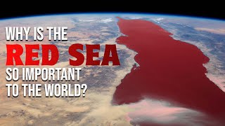 Top 10 Fact About the Red Sea [upl. by Aneeuqahs]