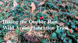 Hiking the Quebec Run Wild Area Plantation Trail [upl. by Akehsay]