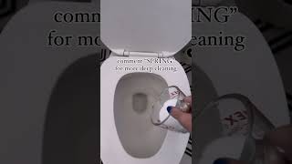 Homemade Foaming Toilet Cleaner [upl. by Alegnaed]