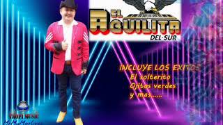 CUMBIAS IMPACTOS BAILABLES 2020 ♬♪♫ El Aguilita del Sur [upl. by Aicetel243]