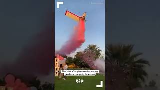 Pilot dies after plane crashes during gender reveal party in Mexico [upl. by Nylram955]