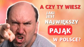 Największe pająki W POLSCE [upl. by Lavern]