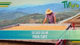 Proceso para el Secado Solar de Cafe TvAgro por Juan Gonzalo Angel [upl. by Aksehcnarf]