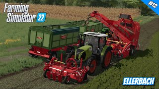 Suikerbieten rooien  Ellerbach 12 fs22 [upl. by Froemming236]