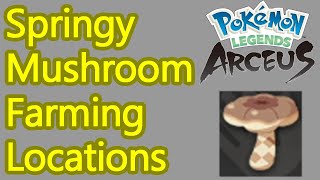 Pokemon Legends Arceus springy mushroom locations guide  farming spot for mushroom cakes [upl. by Eux]