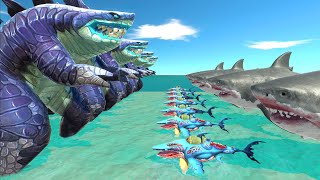 Aquatics Battle  Megalodon VS Sharkjira  Animal Revolt Battle Simulator [upl. by Johnsten]