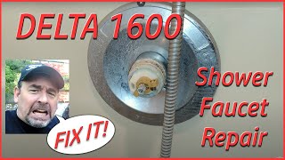 SHOWER DRIPPING How to Fix a Delta Shower Faucet leak Single Handle Universal Seals Delta 1600 [upl. by Keir784]