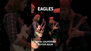 EAGLES  HOTEL CALIFORNIA  GUITAR ADLIB [upl. by Aiclef51]