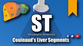 Ultrasound Couinauds Liver Segments [upl. by Kenon]