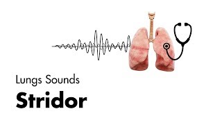 Stridor  Lung Sounds  MEDZCOOL [upl. by Nicoline]