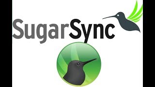 SugarSync  Кроссплатформенный Облачный Сервис [upl. by Annol]