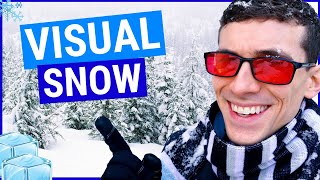 What is Visual Snow Symptoms and Treatments [upl. by Irrehc]