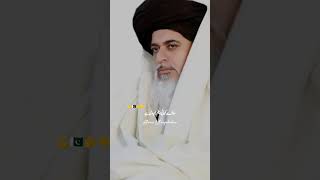 Labaik Waly 💪🔥  TLP  Baba Khadim Hussain Rizvi  labaikyarasoolallahﷺ [upl. by Nanreik]