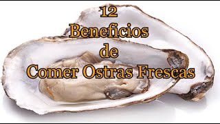 12 Beneficios de comer ostras frescas [upl. by Richmal]