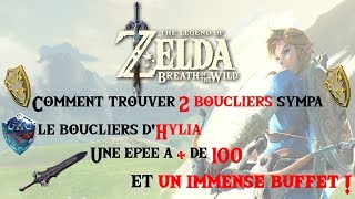 Astuces pour 2 boucliers le bouclier dHylia 1 épée  de 100 et un buffet  Zelda BOTW [upl. by Aisetra767]