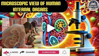 Microscopic🔬View of Human🧍Internal Organs  Magnified images of Humans Different Internal Organs [upl. by Assela]