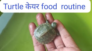 Red Ear Slider Turtle care food full video turtle redearedslider pets petman [upl. by Flinn]