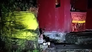 Live ❗ PART 2  HUTAN LARANGAN DI TENGAH HUTAN KALBAR [upl. by Noryb]