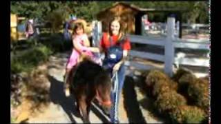 Meet SpiderMan amp The Hulk at White Post Farms Melville NY [upl. by Inerney118]